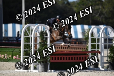 042CAH_0490