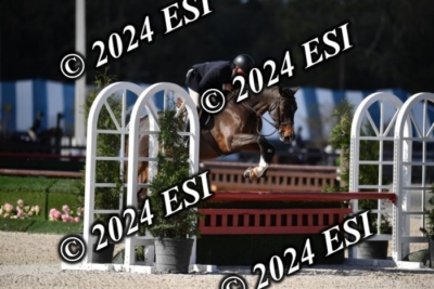 042CAH_0494