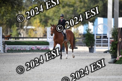 042CAH_0498