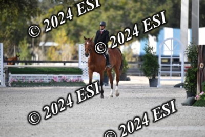 042CAH_0499