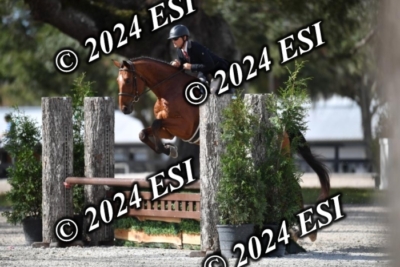 042CAH_0506