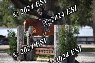042CAH_0507