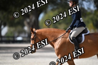 042CAH_0518
