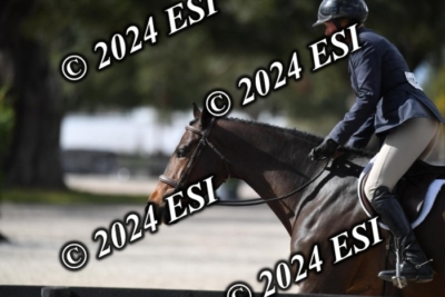 042CAH_0521