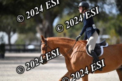 042CAH_0522