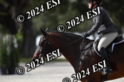 042CAH_0523