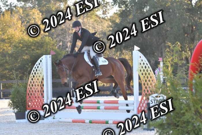 203CSC_4875