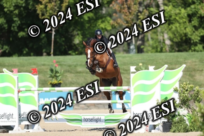 417GAB17646