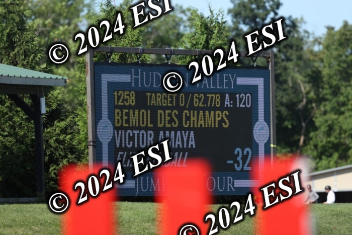 417GAB17660