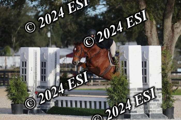 010RWCL6355