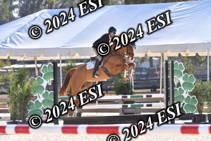 208CSC_6148