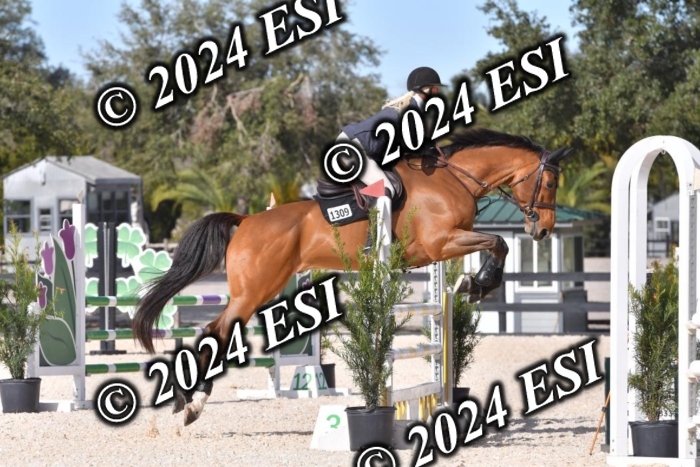 212CSC_6346