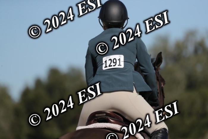 517RWCL6867