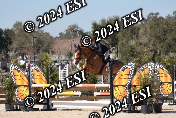 2120H8A9901