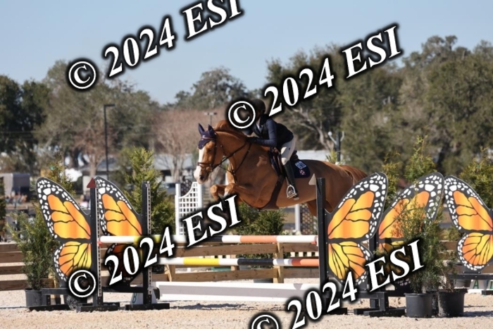 2120H8A9902