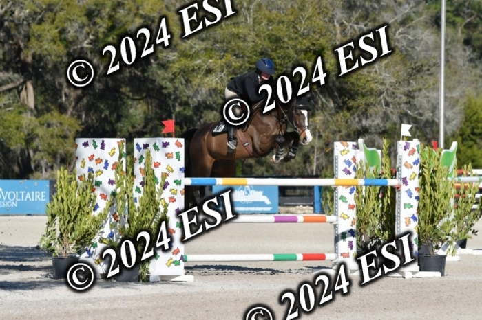 275DAV_7533