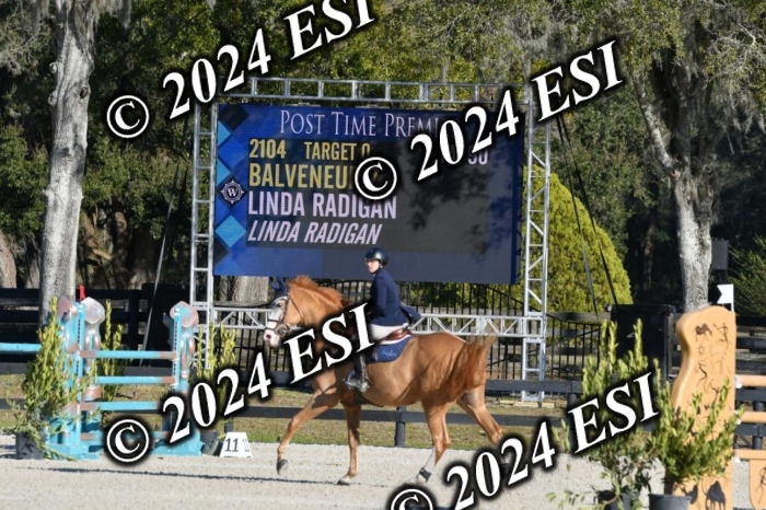 275DAV_7583