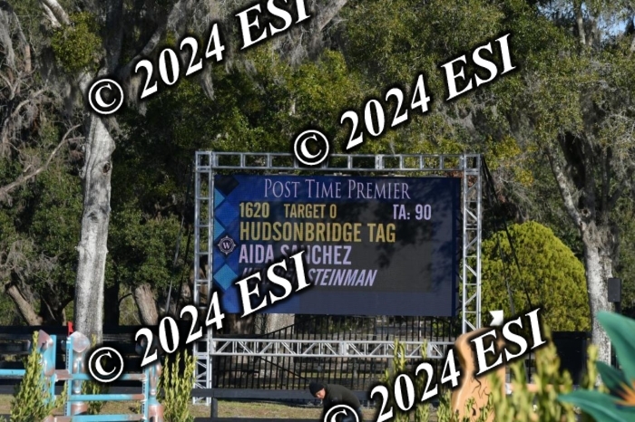 275DAV_7594