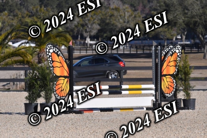 202CSC_7060