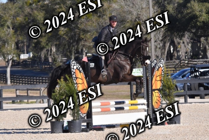 202CSC_7066