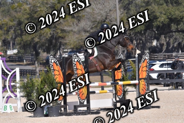 210CSC_7209