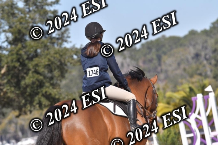 210CSC_7238