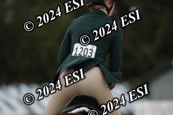 176RWCL9353