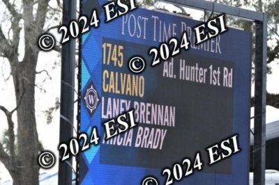 105DAV_8705