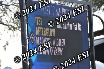 105DAV_8713