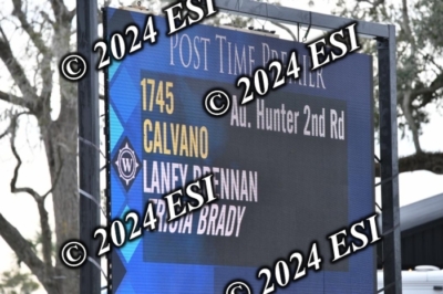 105DAV_8721