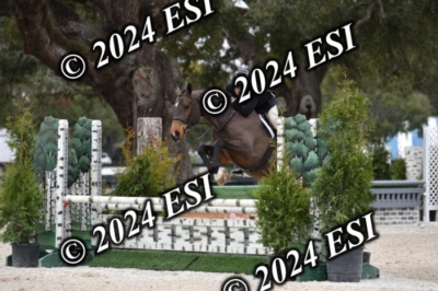 105DAV_8752