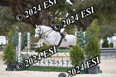 105DAV_8776