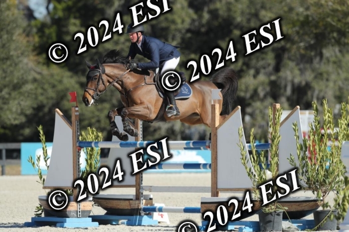 417AY4I1804