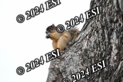 045DAV_9378