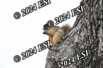 045DAV_9379
