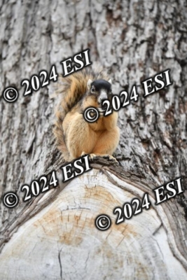 045DAV_9387