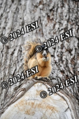 045DAV_9388