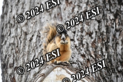 045DAV_9389