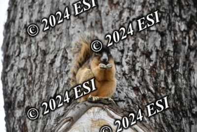 045DAV_9390