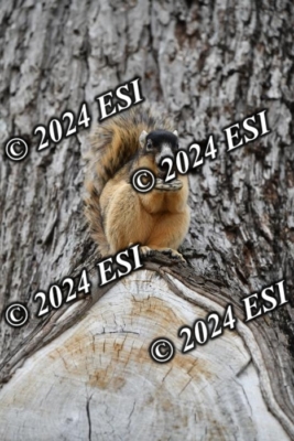 045DAV_9391