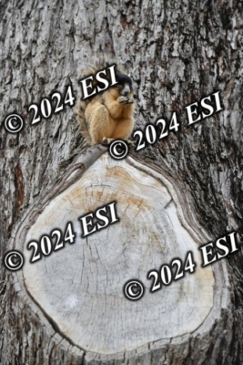 045DAV_9392