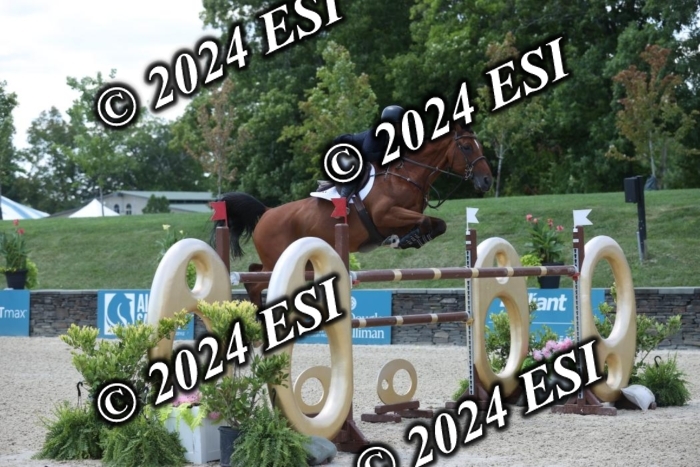 723GAB18286