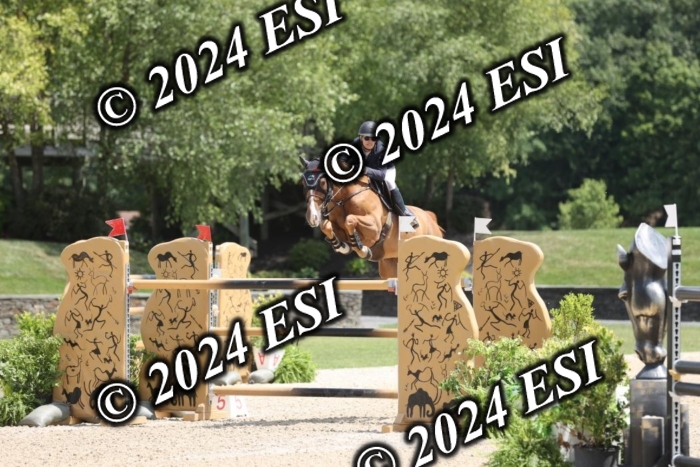 723GAB18289