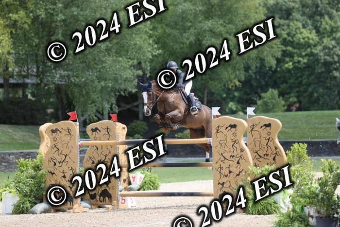 723GAB18295