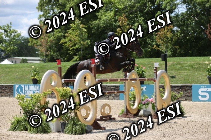 723GAB18308