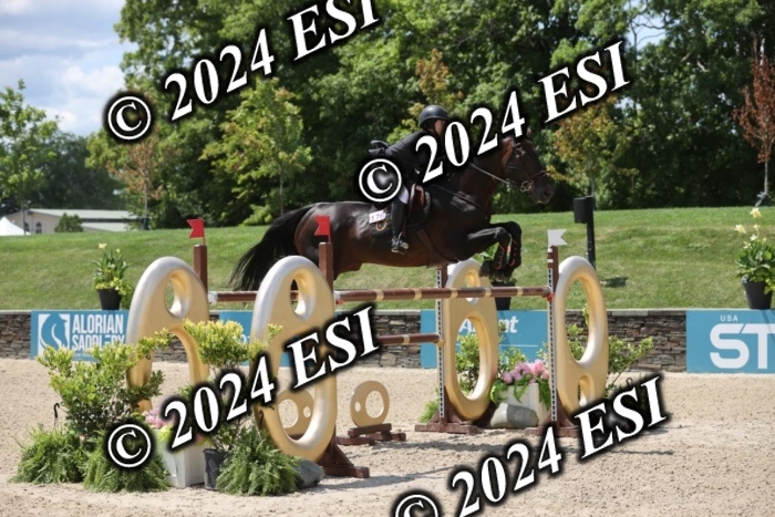 723GAB18309