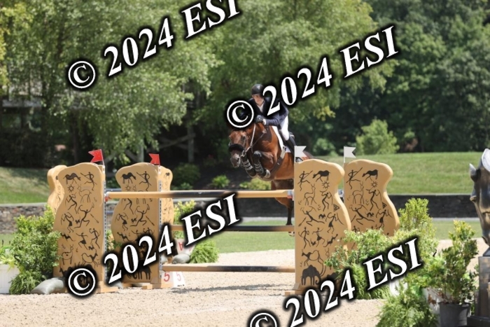 723GAB18347