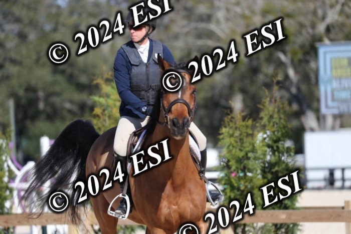 017RWCL1169