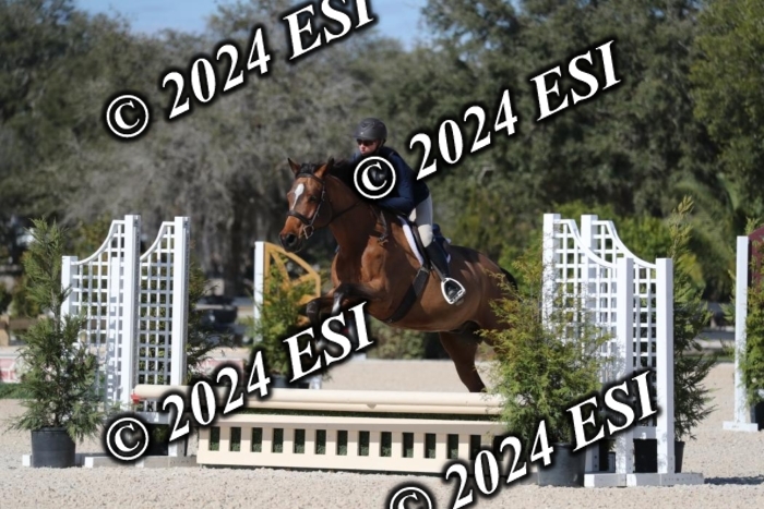 017RWCL1176