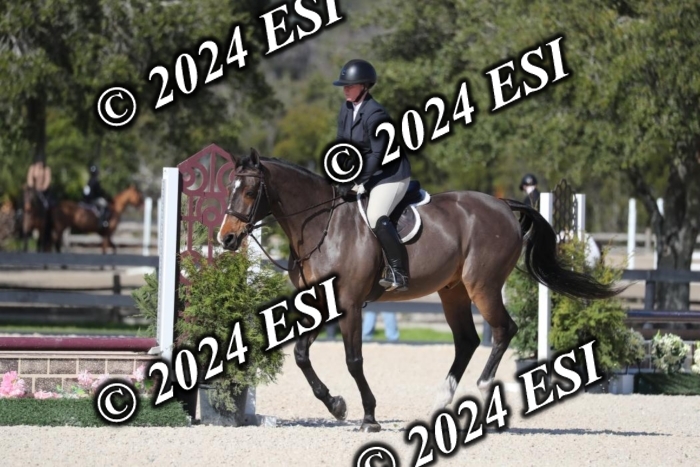 017RWCL1179